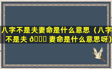 八字不是夫妻命是什么意思（八字不是夫 🍀 妻命是什么意思呀）